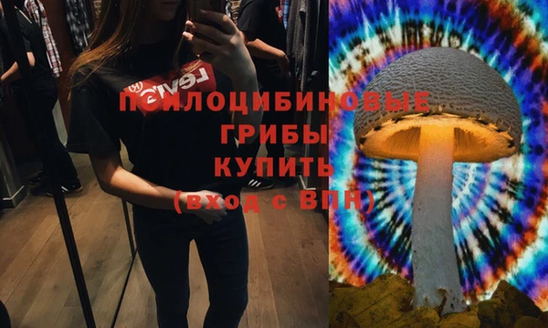 марки lsd Белая Холуница