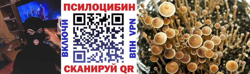 Псилоцибиновые грибы ЛСД  ОМГ ОМГ ONION  Кириллов 